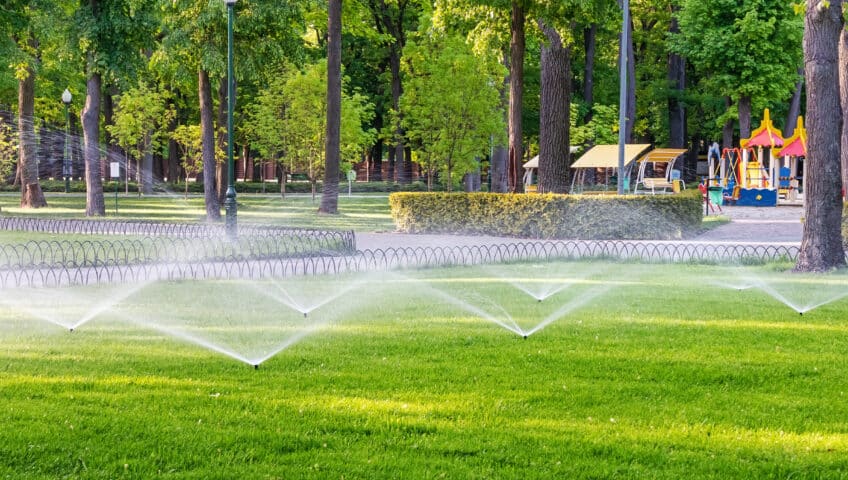 Sports Turf Management
